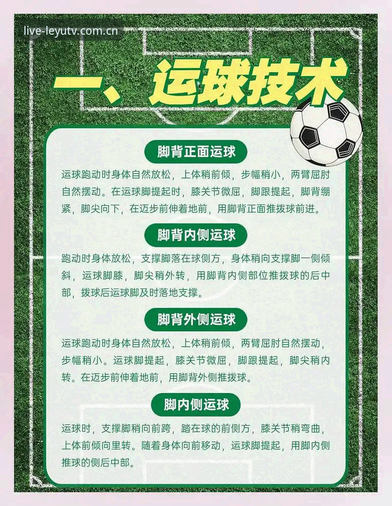 乐鱼体育视频简体中文官网足球数据攻略最新消息：v2.3.1版本实测，这届数据更新终于不卡了